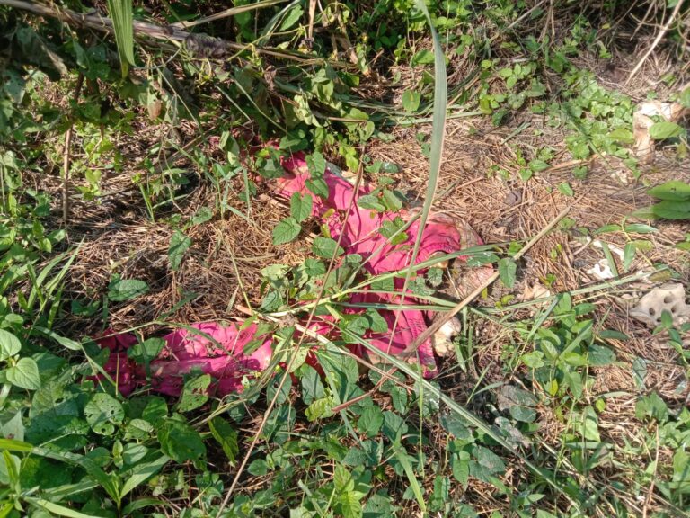 Penemuan Tengkorak di Sukabumi