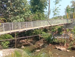 Jembatan Gantung Rewod Resmi Beroprasi, Camat: Akan Menunjang Pertanian Ciracap Sukabumi