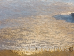 Cari Penyebab Tercemarnya Pantai Batu Panganten, DLH Kabupaten Sukabumi Uji Lab Air Laut Hingga Bogor