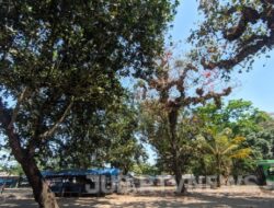 Pasar Monyet Palabuhanratu, Kisah Kelam di Balik Pesona Pantai Selatan Sukabumi