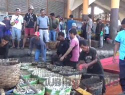 Dermaga Palabuhanratu Dibanjiri Ikan Hasil Tangkapan Nelayan