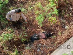 Terungkap! Mayat di Jalan Sukabumi-Banten Korban Pembunuhan, Identitas Pria Diketahui