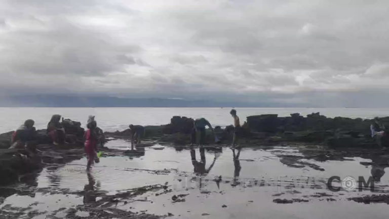 Sensasi Menangkap Ikan Hias di Kolam Alami Pantai Karang Hawu
