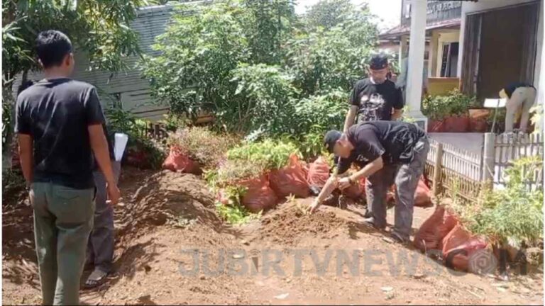 20.000 Bibit Pohon Ditanam LSM Dampal Jurig di Pajampangan untuk Pelestarian Lingkungan