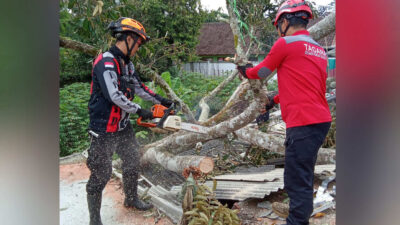 Angin Kencang Landa Sukabumi, Tumbangkan Sejumlah Pohon dan Rusak Rumah