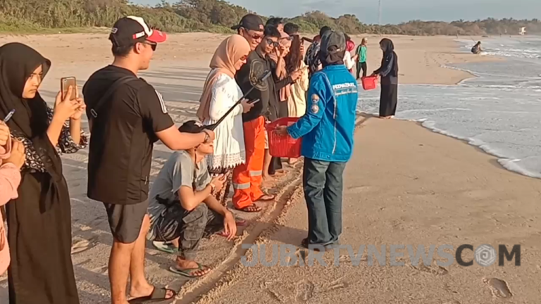 Sensasi Pelepasan Anak Penyu oleh Wisatawan Cilik di Pantai Pangumbahan Kabupaten Sukabumi