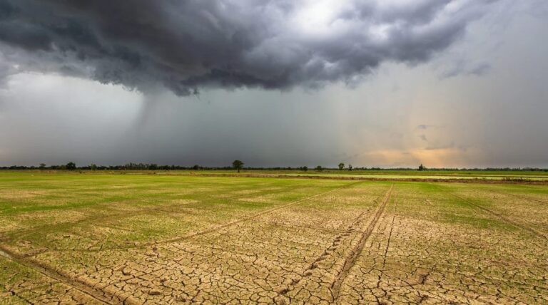 Kenapa Masih Hujan Meski Sudah Musim Kemarau? Begini Penjelasan BMKG