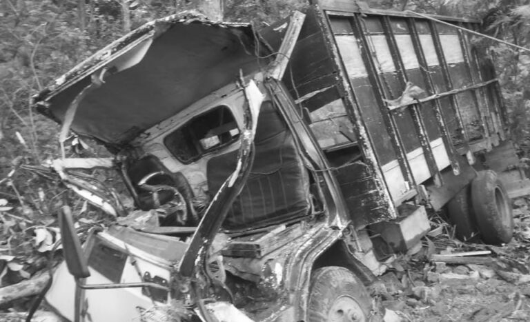 Truk Muatan Kayu Jati Terjun ke Jurang di Tegalbuleud Sukabumi, Sopir Tewas Terjepit