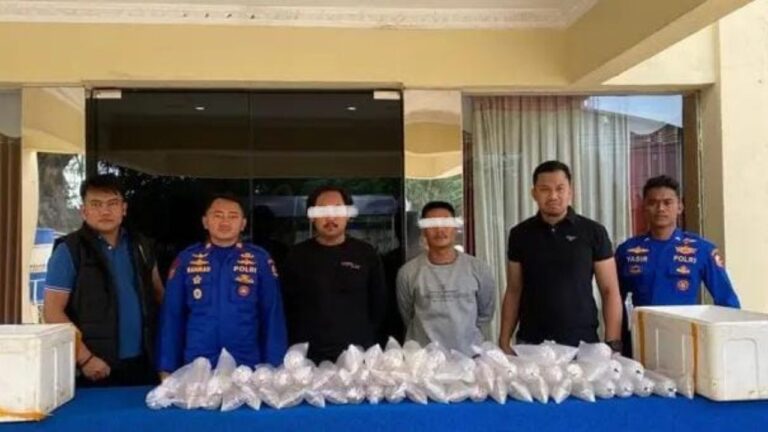 Polri Gagalkan Penyelundupan 11.543 Benih Lobster di Palabuhanratu Sukabumi