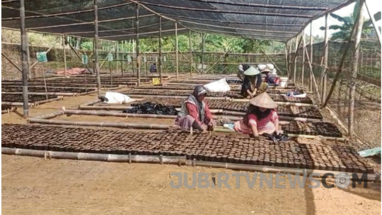 Kelompok Tani Sukahati Sukabumi Kembangkan 3.500 Bibit Pohon Lewat Program KBR 2025
