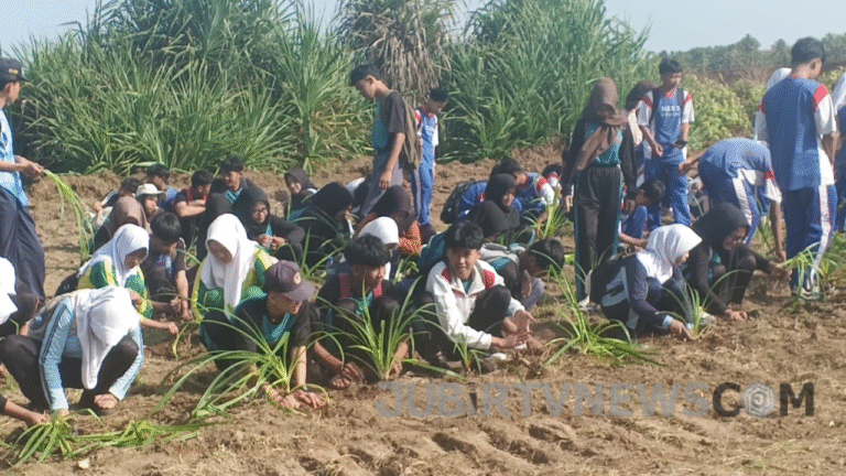 Akhiri Masa MPLS, Ratusan Pelajar Surade Hijaukan Pantai Minajaya Sukabumi