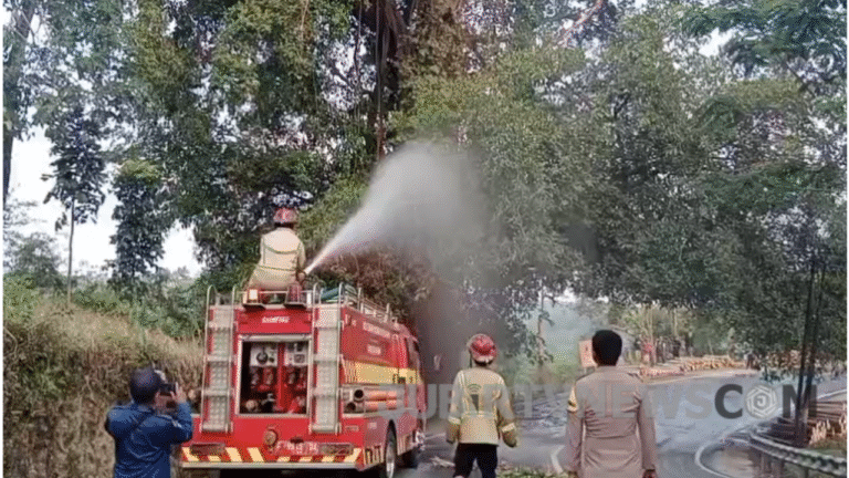 Pohon Kiara Keramat Terbakar di Tegalbuleud Sukabumi, Jadi Tontonan Pengguna Jalan