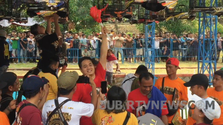 Kontes Burung Piala DPRD Sukabumi 2025 Diserbu 400 Peserta dari Lokal hingga Nasional!