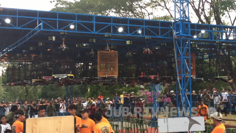 Kontes Burung Piala DPRD Sukabumi 2025: Banjir Pengunjung, Ekonomi Lokal Ikut Terangkat!