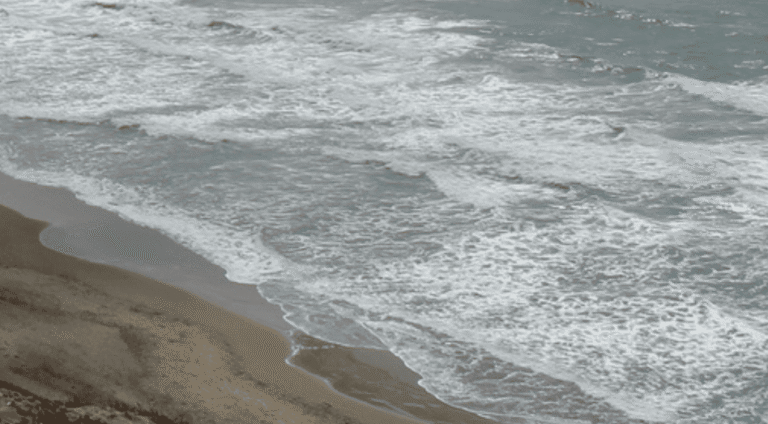 BMKG Keluarkan Status Waspada Tsunami untuk 10 Pesisir Indonesia usai Gempa Kamchatka Rusia