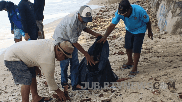 Video: Aksi Bersih-Bersih Pantai Ujunggenteng Sukabumi, Libatkan Berbagai Elemen Masyarakat