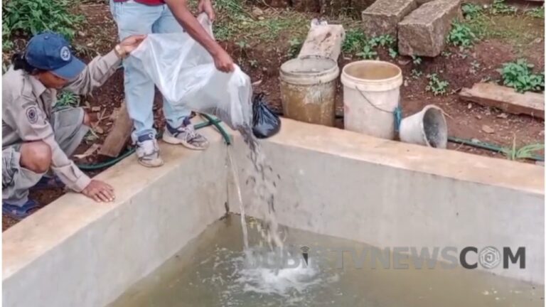 Video: Program Ketahanan Pangan, Desa Padajaya Sukabumi Tebar Ribuan Bibit Ikan Lele