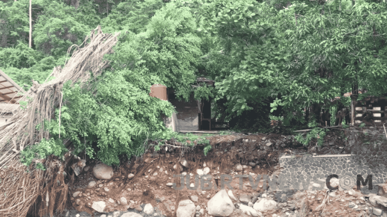 Video: Banjir Terjang Geyser Cipanas Cisolok Sukabumi, Pohon Beringin Roboh