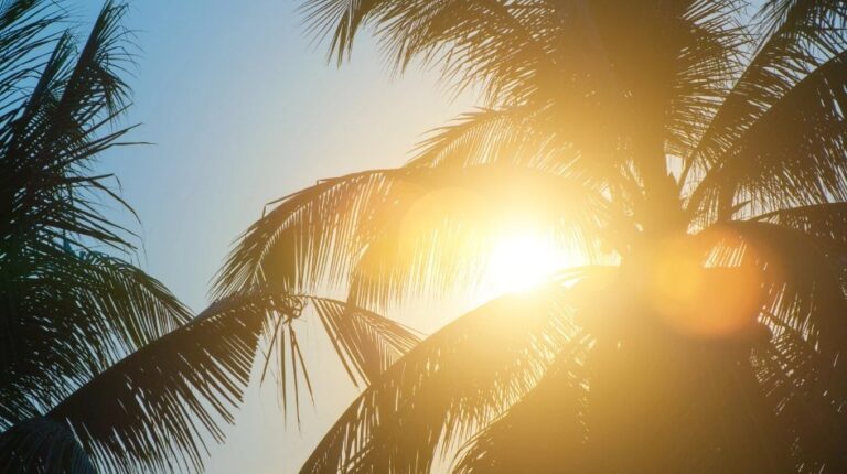 Cuaca Panas Landa Sejumlah Wilayah Indonesia, Begini Penjelasan BMKG soal Penyebabnya