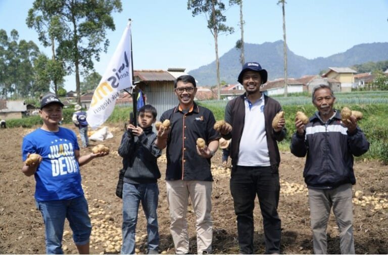 Program Tani Bangkit Lazismu Jabar Jadi Solusi Perputaran Modal Petani Kentang di Bandung