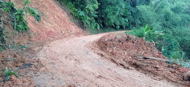Usai Tertutup Longsor, Akses Jalan Tamanjaya–Cigaru di Ciemas Sukabumi Kembali Normal