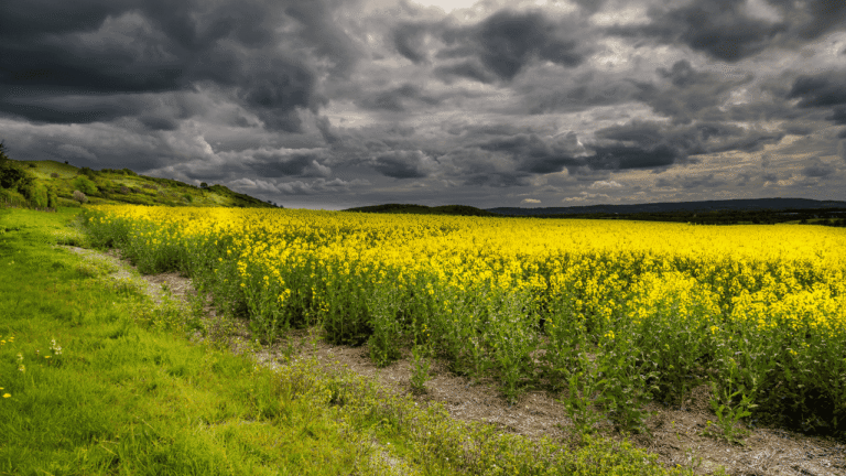Diprediksi Berawan hingga Hujan di Sejumlah Wilayah, Prakiraan Cuaca Jabar 12 Desember 2025