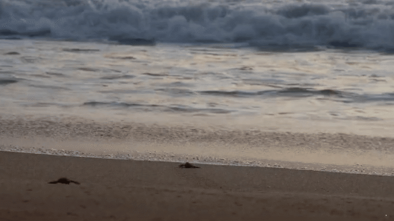 Isi Libur Sekolah Selama Nataru dengan Edukasi, Ini 3 Rekomendasi Destinasi Wisata di Sukabumi yang Wajib Dikunjungi