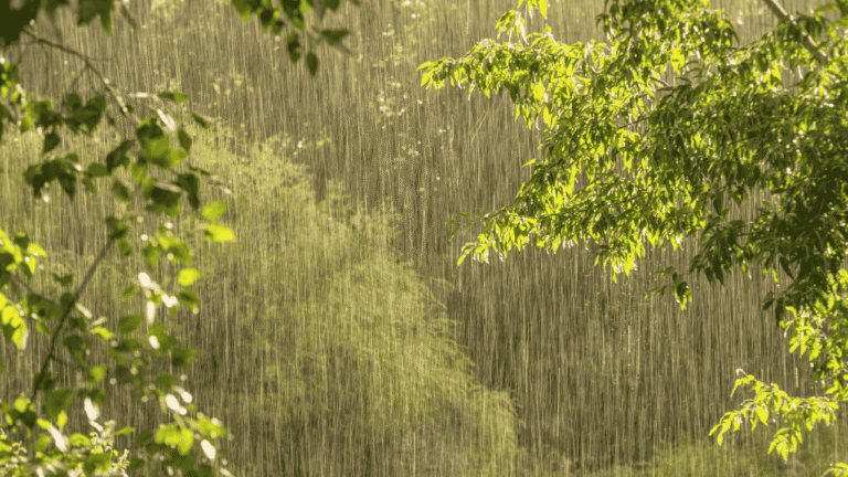 Hujan Berpotensi Terjadi Sejak Siang Hari di Sejumlah Wilayah, Prakiraan Cuaca Jabar 29 Desember 2025