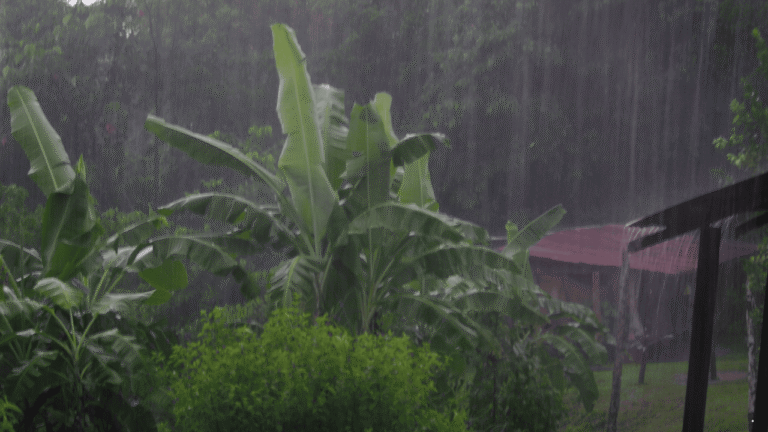 Waspada Hujan Disertai Petir dan Angin Kencang, Prakiraan Cuaca Jabar 30 Desember 2025