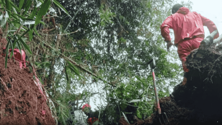 Diguyur Hujan Deras, Tebing Dapuran Bambu Longsor dan Rusak 2 Rumah Warga di Citamiang Sukabumi