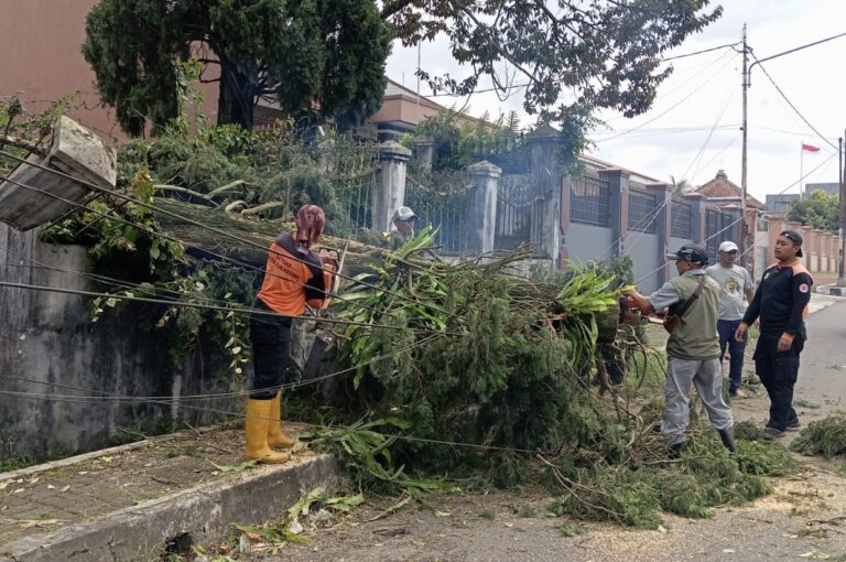 Diterjang Angin Kencang, Belasan Pohon Tumbang dan Sejumlah Rumah Rusak di Kota Sukabumi