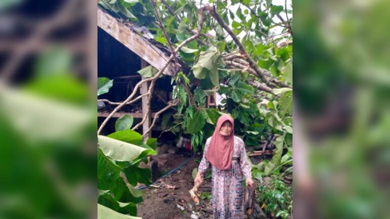 Diterpa Angin Kencang, Pohon Tumbang Rusak Rumah Lansia di Waluran Sukabumi