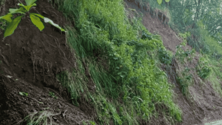 Longsor hingga Pergeseran Tanah, BPBD Catat Sejumlah Bencana di Sukabumi pada Awal 2026