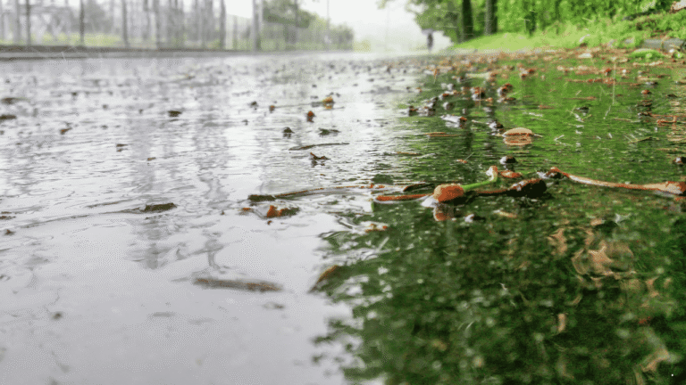 Sejumlah Daerah Berpotensi Diguyur Hujan Seharian, Prakiraan Cuaca Jabar 14 Januari 2026