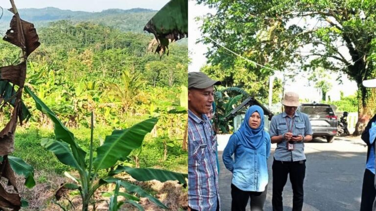 Pastikan Aman dan Layak, Disperkim Sukabumi Survei Calon Lahan Relokasi Warga Terdampak Bencana di Palabuhanratu