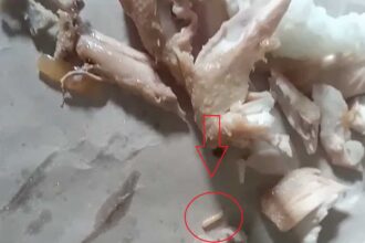 Tangkapan layar video yang menampilkan ada belatung hidup di dalam menu ayam MBG yang dibagikan kepada siswa PAUD di Kecamatan Palabuhanratu, Kabupaten Sukabumi. | Foto: Ist