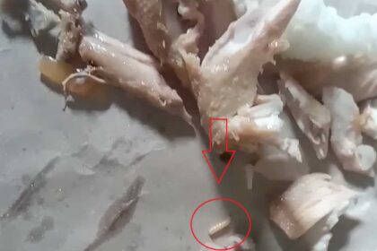 Tangkapan layar video yang menampilkan ada belatung hidup di dalam menu ayam MBG yang dibagikan kepada siswa PAUD di Kecamatan Palabuhanratu, Kabupaten Sukabumi. | Foto: Ist