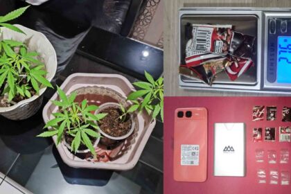 Barang bukti narkotika yang disita Satnarkoba Polres Sukabumi Kota. Dari tanaman ganja hingga paket sabu. | Foto: Ist