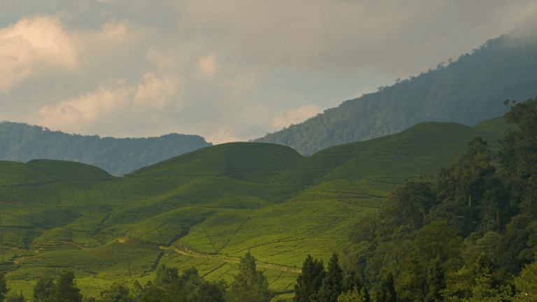 Cerah Berawan dengan Potensi Hujan Sore Hari, Prakiraan Cuaca Jabar 18 Februari 2026