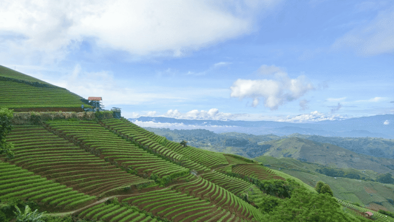 Awal Ramadan di Sejumlah Daerah Didominasi Berawan, Prakiraan Cuaca Jabar 19 Februari 2026