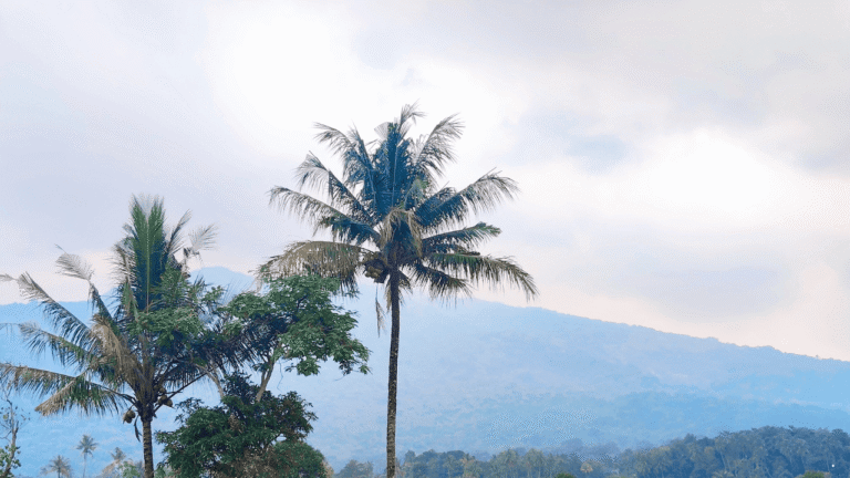 Hujan Berpotensi Turun Sejak Pagi, Prakiraan Cuaca Jabar 6 Februari 2026