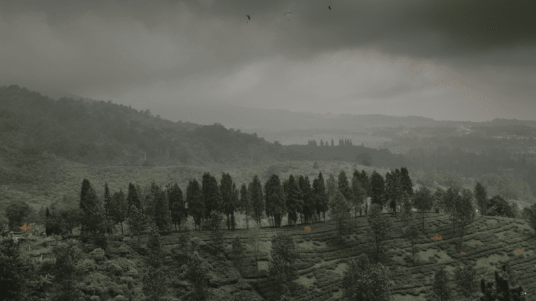 Hujan Ringan–Sedang Berpeluang Terjadi Sepanjang Hari di Sejumlah Wilayah, Prakiraan Cuaca Jabar 11 Februari 2026