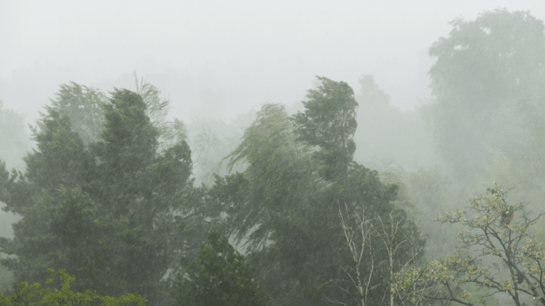 Sejumlah Wilayah Berpotensi Hujan Lebat Sejak Pagi, Prakiraan Cuaca Jabar 23 Februari 2026