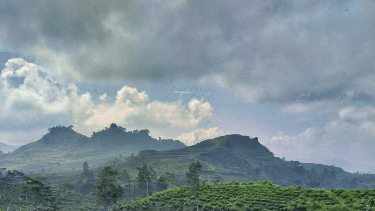 Siang Hari Waspada Petir dan Angin Kencang, Prakiraan Cuaca Jabar 16 Februari 2026