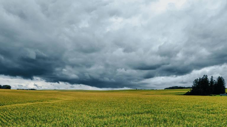 Hujan Berpotensi Terjadi Sejak Siang hingga Malam Hari, Prakiraan Cuaca Jabar 31 Maret 2026