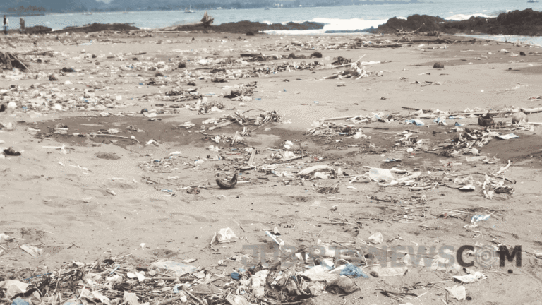 Sampah Berserakan di Pantai Citepus Palabuhanratu, Warga Minta Perhatian Pemerintah