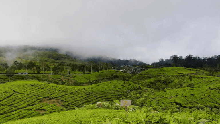 Cerah Berawan Mendominasi Sejumlah Wilayah, Prakiraan Cuaca Jabar 23 Maret 2026