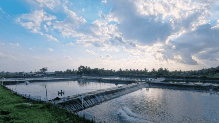 Pagi Berpotensi Cerah Berawan di Sejumlah Wilayah, Prakiraan Cuaca Jabar 28 Maret 2026