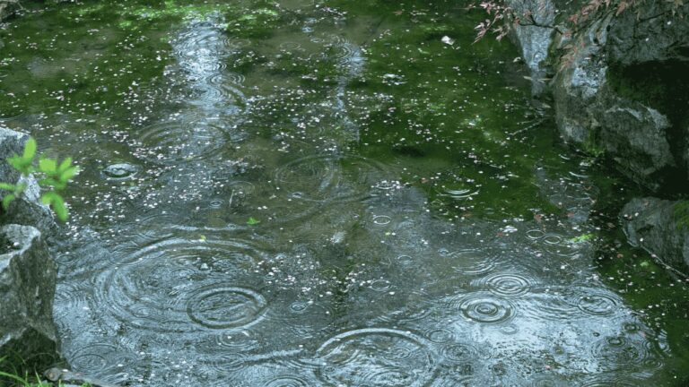 Sebagian Besar Wilayah Berpotensi Hujan, Prakiraan Cuaca Jabar 7 Maret 2026