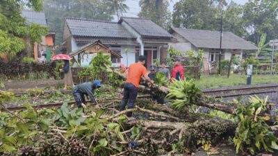 Petugas dan warga mengevakuasi pohon tumbang yang melintang di jalur rel KA Siliwangi kawasan Desa Kebonpedes, Kecamatan Kebonpedes, Kabupaten Sukabumi. Foto: Ist